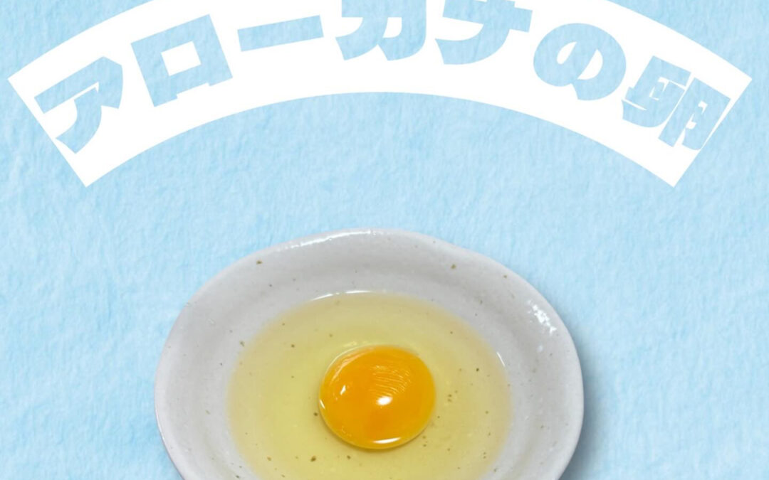 アローカナの卵